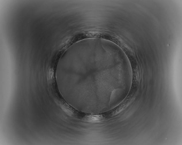 X0000116550711200912171349