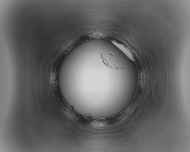 X0000116550714200912171349