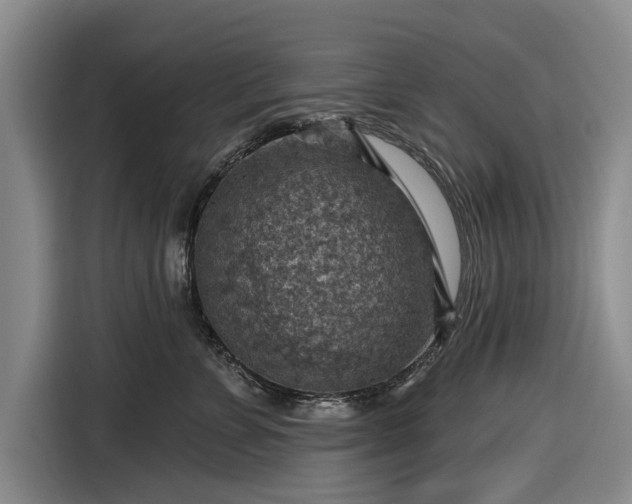 X0000116550715200912171349