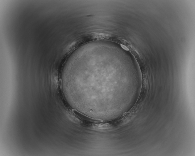 X0000116550716200912171349