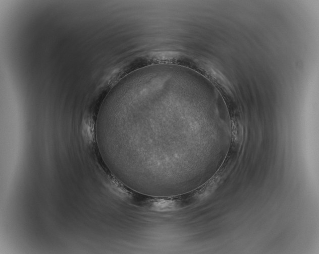 X0000116550718200912171349