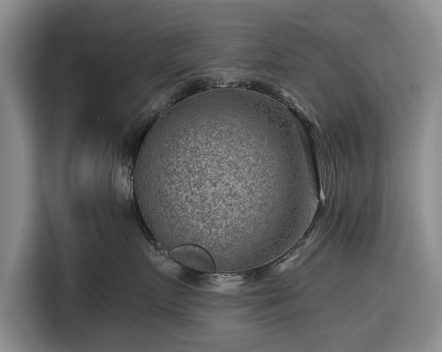 X0000116550719200912171349