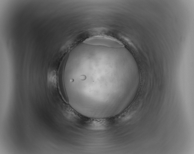 X0000116550720200912171349