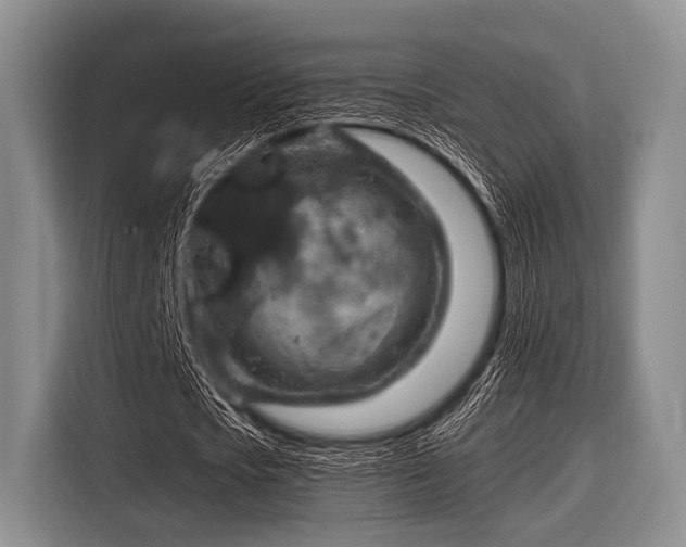 X0000116550721200912171348