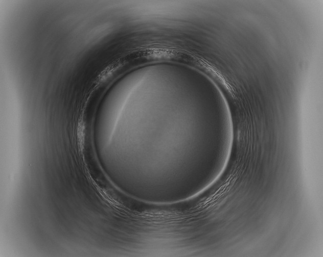 X0000116550722200912171348