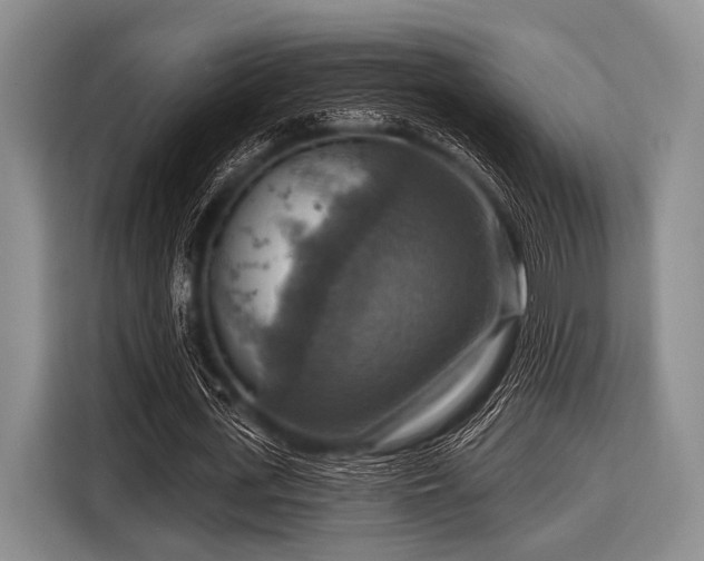 X0000116550723200912171348