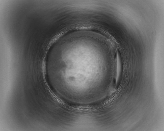 X0000116550725200912171348