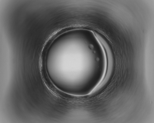 X0000116550726200912171348