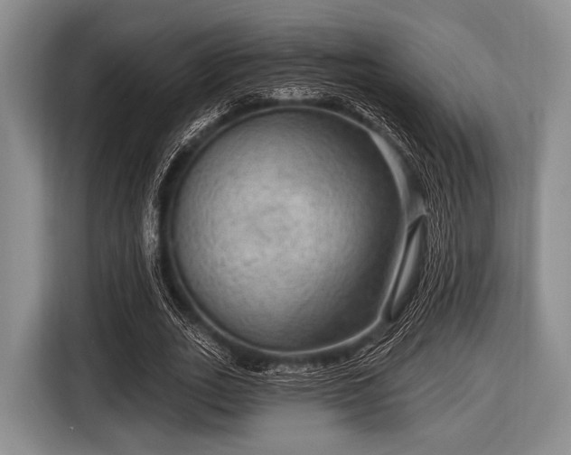 X0000116550727200912171348