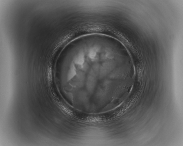 X0000116550729200912171348