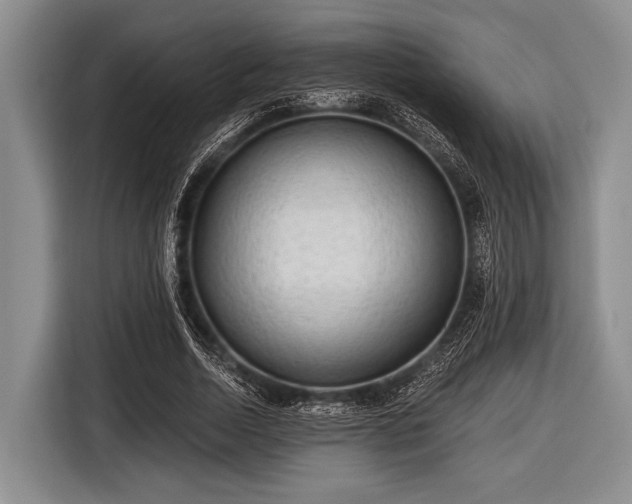 X0000116550730200912171348