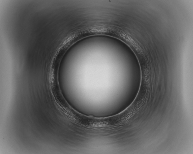 X0000116550731200912171348