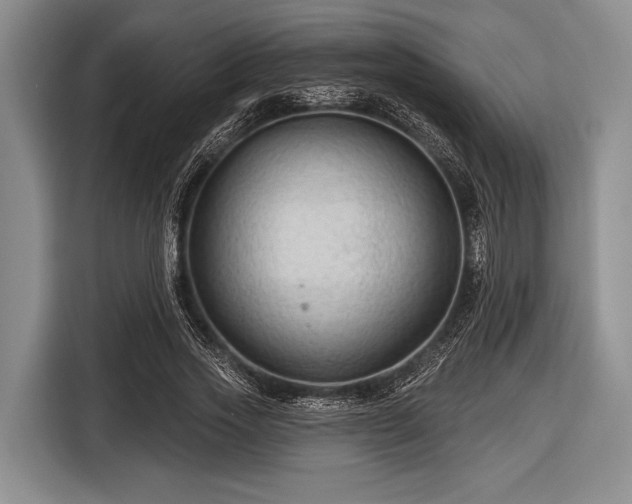 X0000116550733200912171348