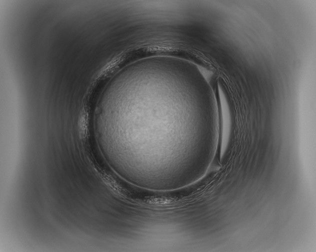 X0000116550735200912171348