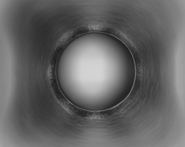 X0000116550738200912171348