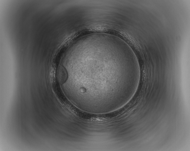 X0000116550739200912171348