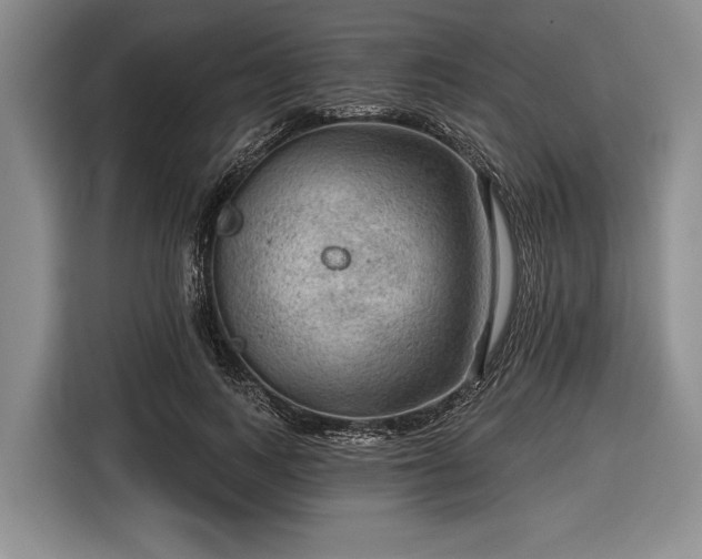 X0000116550743200912171348