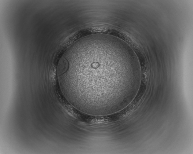 X0000116550745200912171348