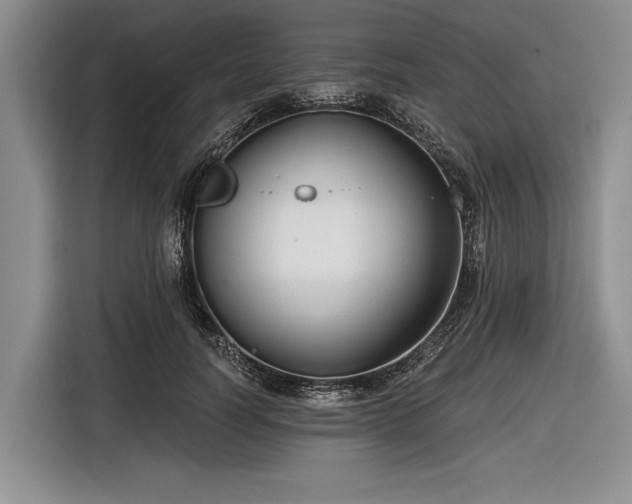 X0000116550746200912171348