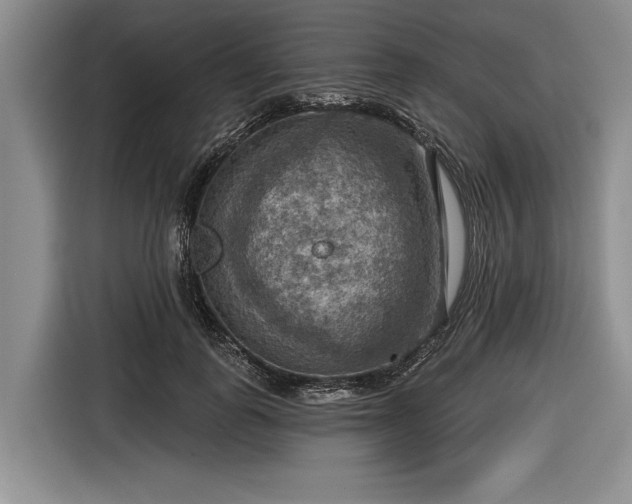 X0000116550747200912171349