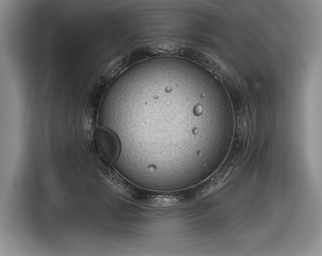 X0000116550749200912171349