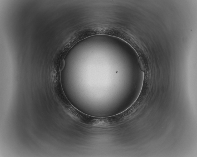 X0000116550750200912171349