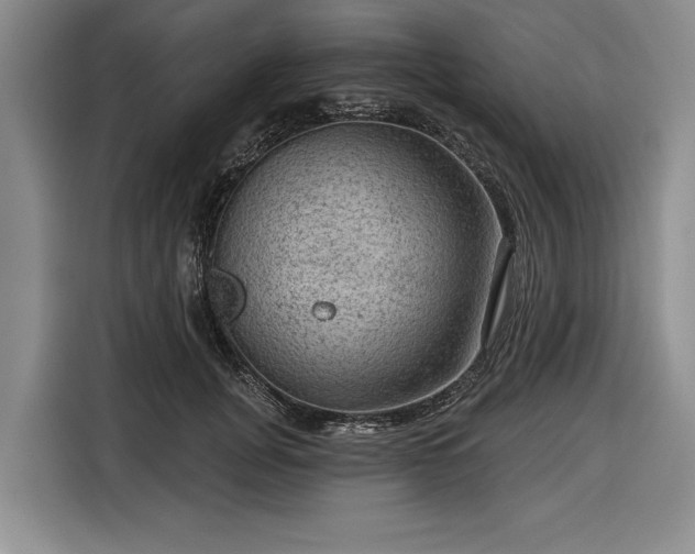 X0000116550751200912171349