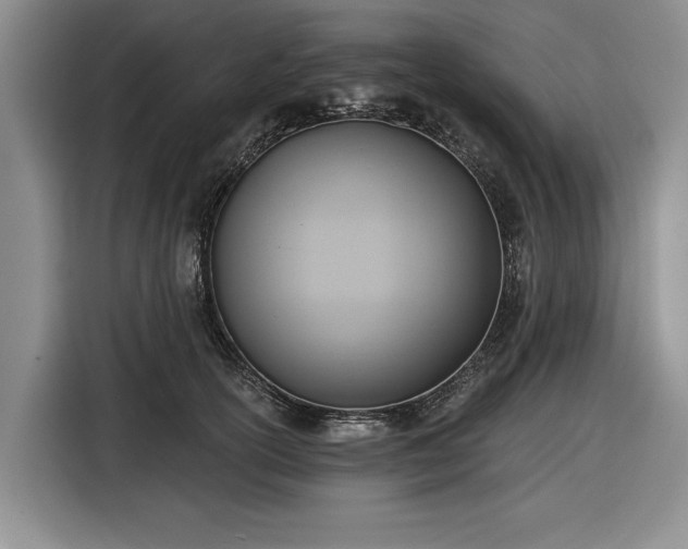 X0000116550754200912171349