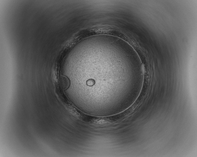 X0000116550755200912171349