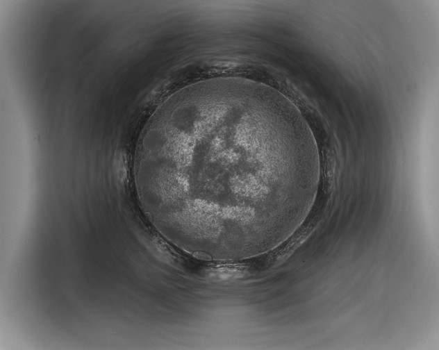 X0000116550758200912171349