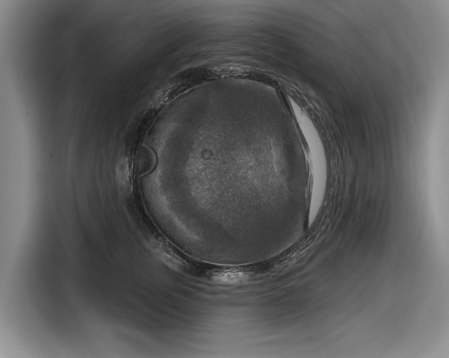 X0000116550759200912171349