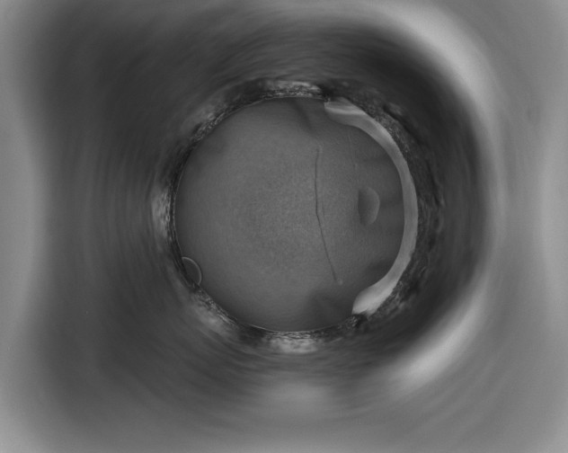 X0000116550767200912171349