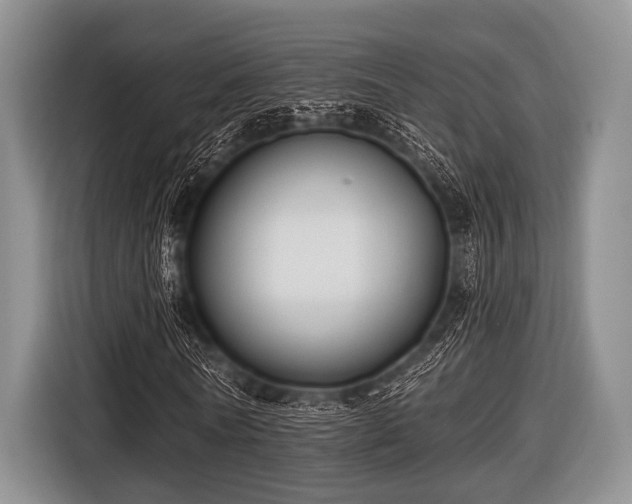 X0000116550770200912171348