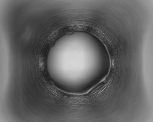 X0000116550771200912171348