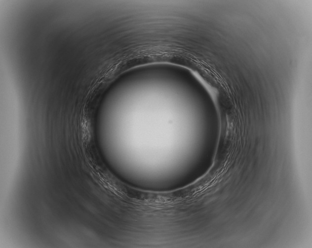 X0000116550772200912171348