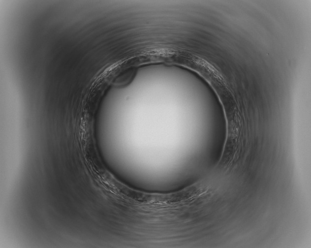 X0000116550773200912171348