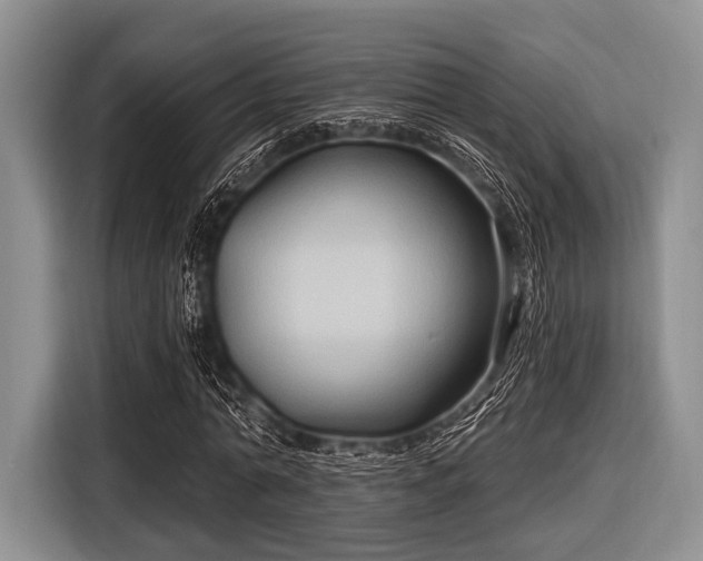 X0000116550774200912171348