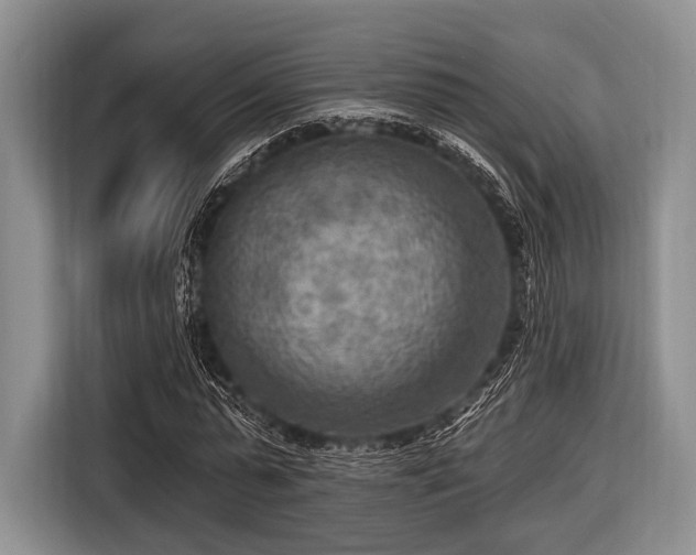 X0000116550775200912171348