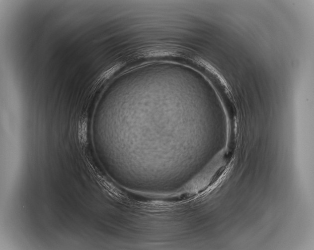 X0000116550777200912171348