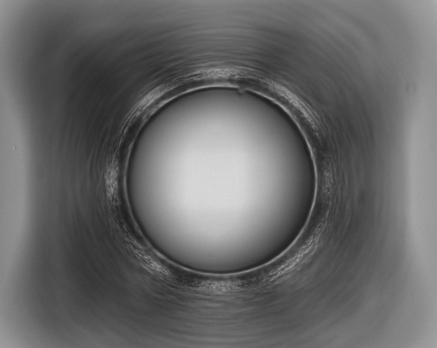 X0000116550778200912171348