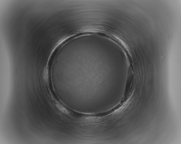 X0000116550779200912171348