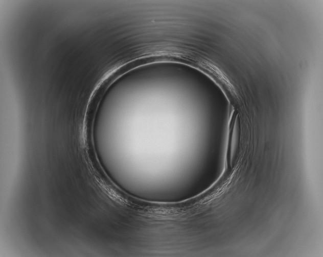 X0000116550780200912171348