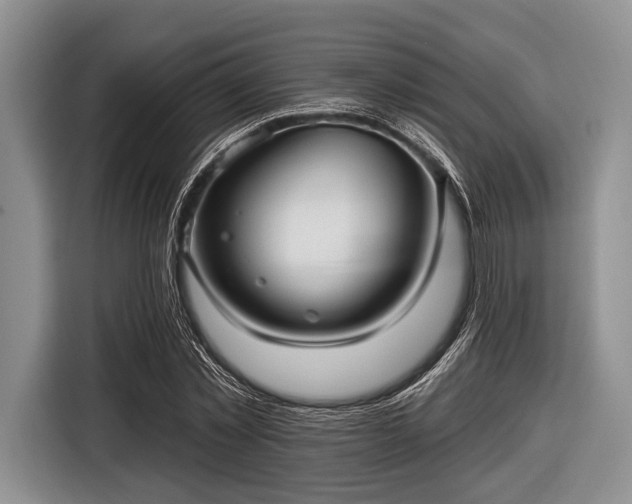 X0000116550781200912171348