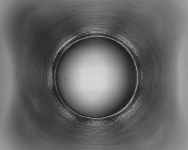 X0000116550782200912171348