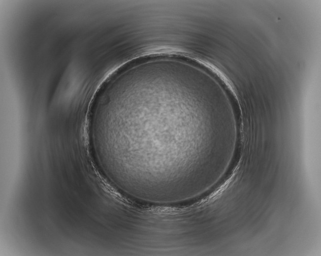 X0000116550783200912171348