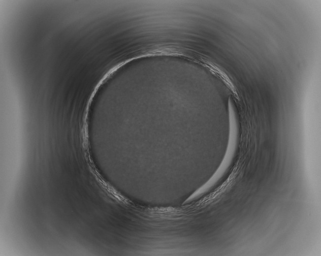 X0000116550784200912171348