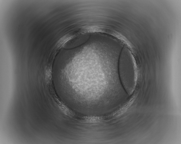 X0000116550785200912171348