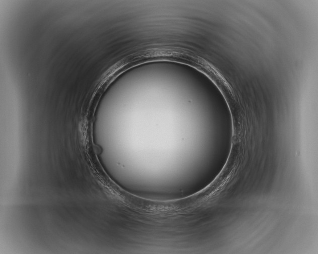 X0000116550786200912171348