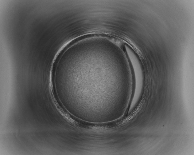 X0000116550788200912171348