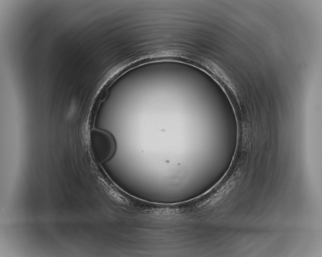 X0000116550789200912171348